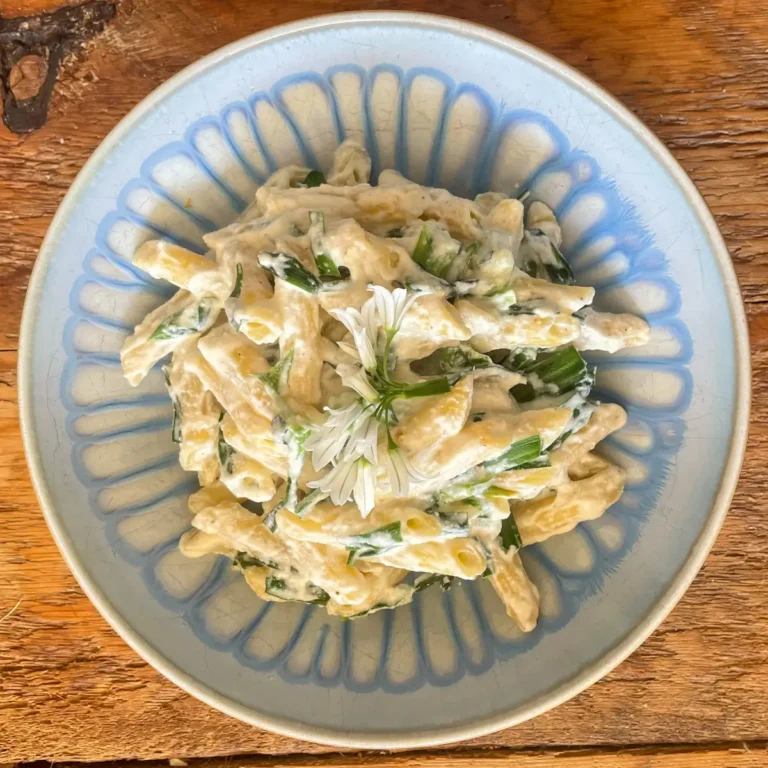 Three Cornered Leek and Ricotta Pasta