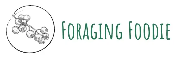 foragingfoodie.com
